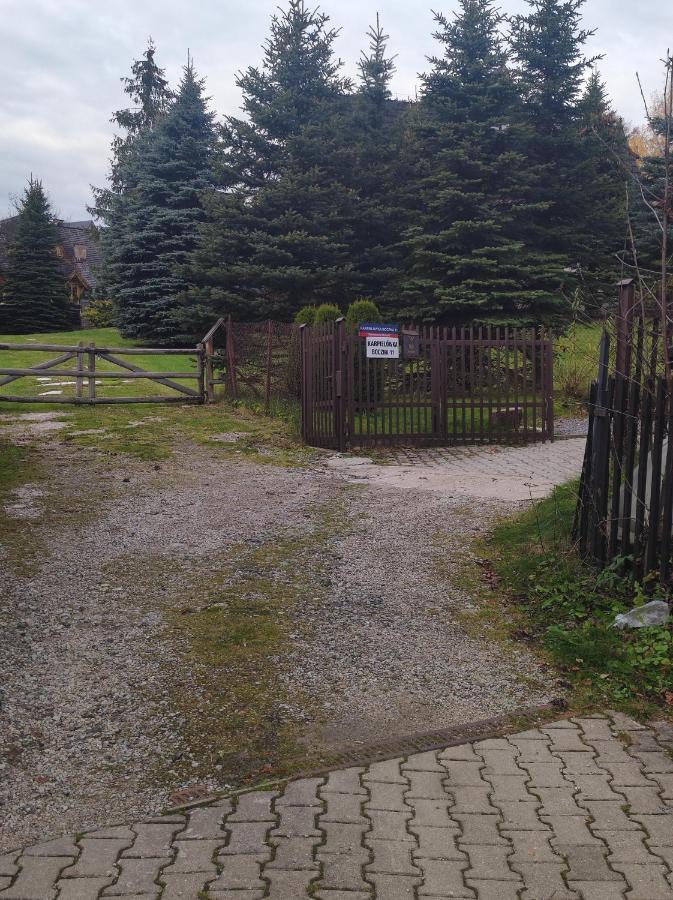 - Wymarzone Widoki Apartament